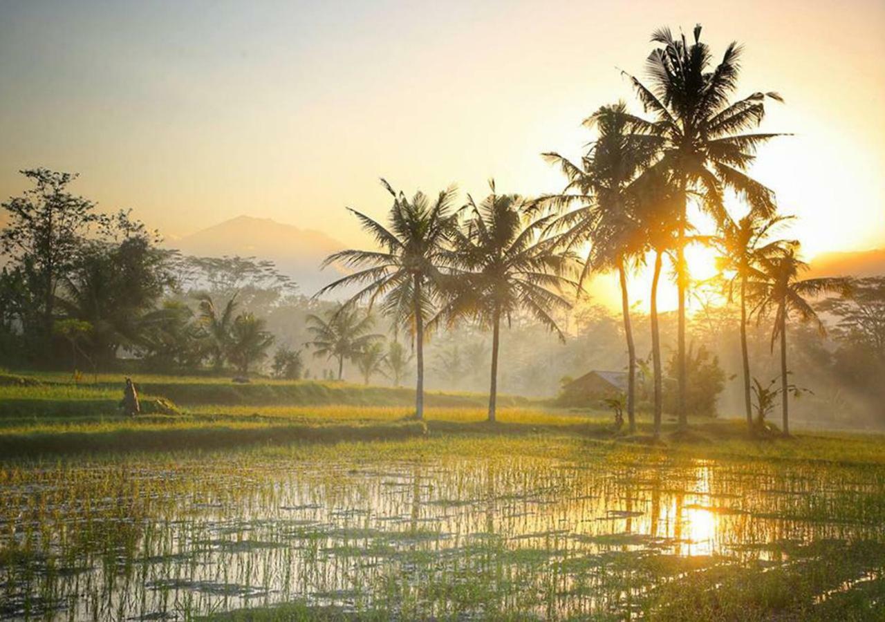 Puri Darma Agung Villa Ubud Zewnętrze zdjęcie